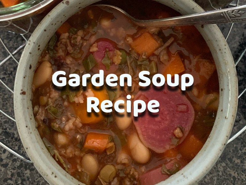 Homemade Garden Soup, Informal&nbsp;Recipe