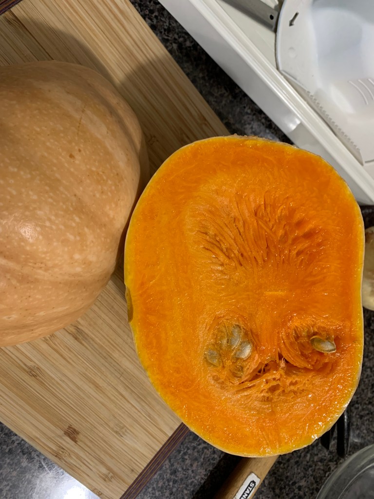 Seminole pumpkin cut in half