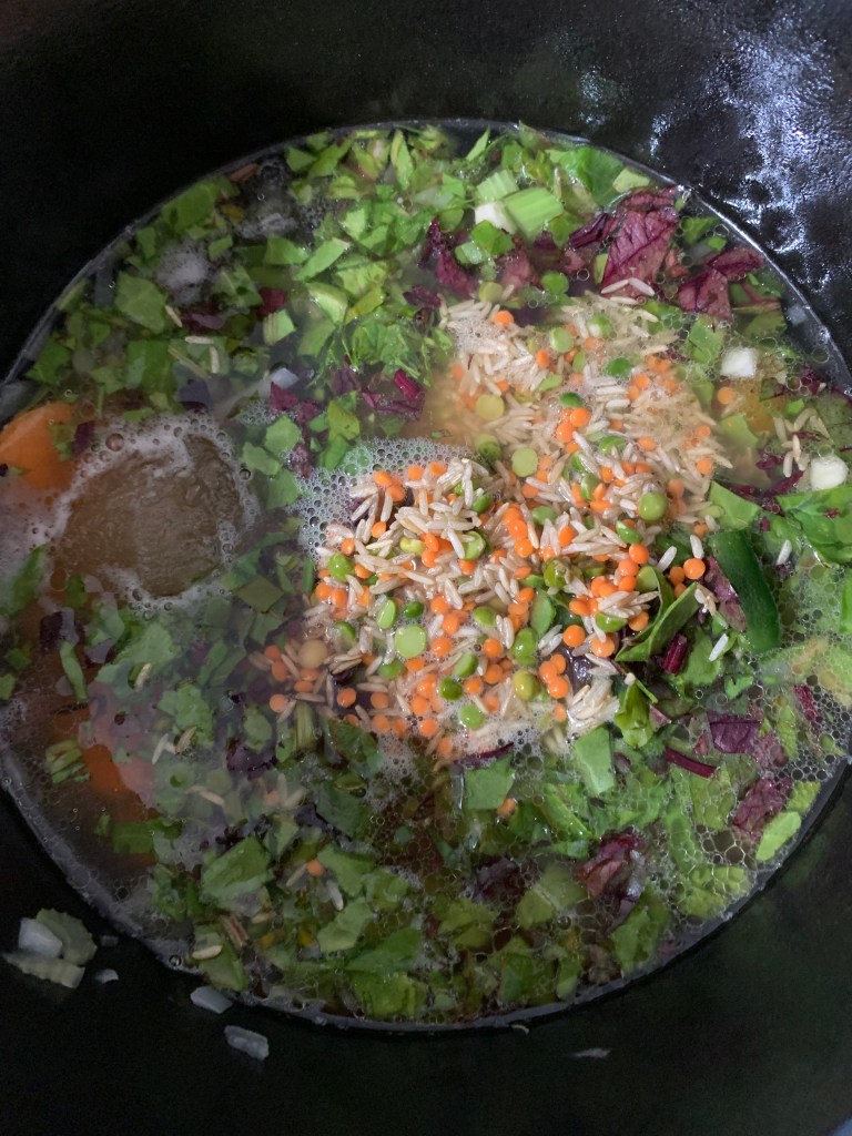 Garden soup in pot