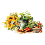 garden vegetables divider