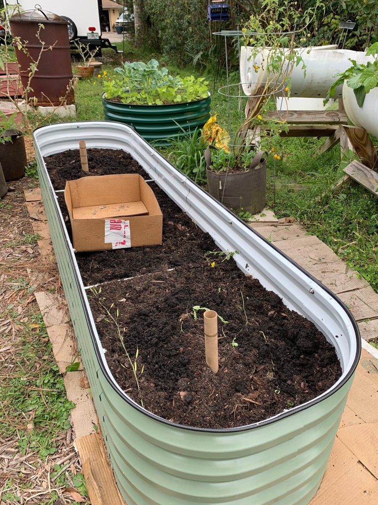 metal raised bed being filled with dirt