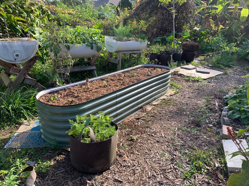 metal raised bed in long rectangular shape