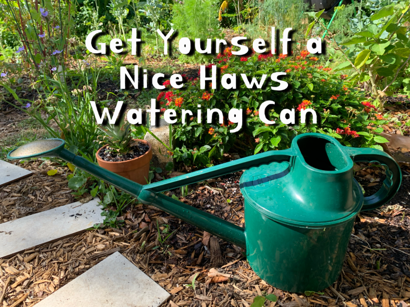 All about my Haws watering can
