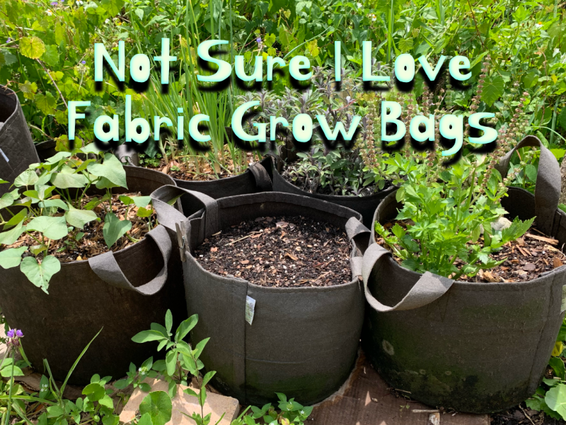 Do I Really Love Fabric Grow&nbsp;Bags?