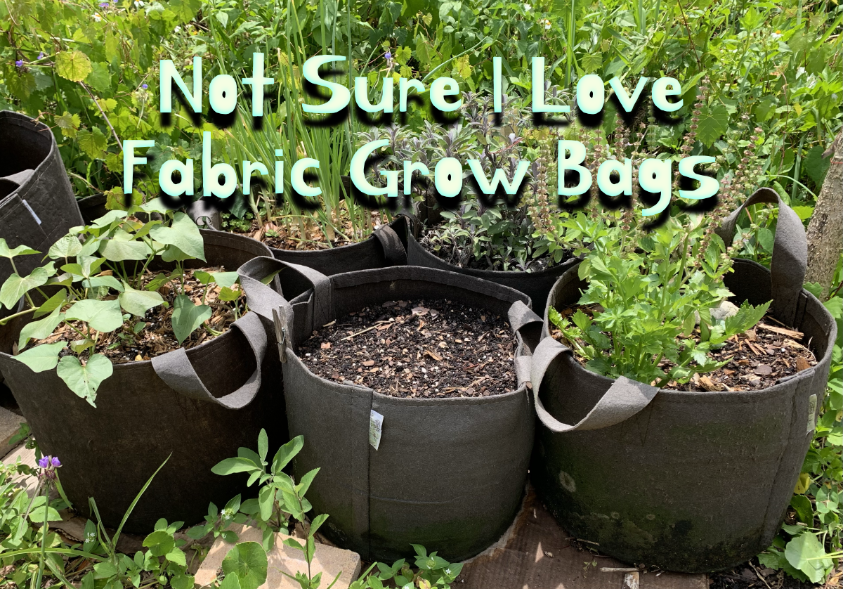 Do I Really Love Fabric Grow&nbsp;Bags?