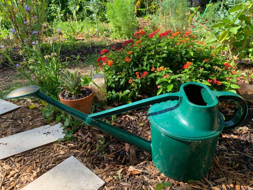 Dark green plastic watering can by Haws