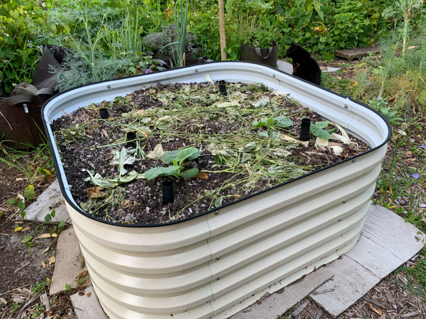 Metal raised garden bed by Vegega in off-white color