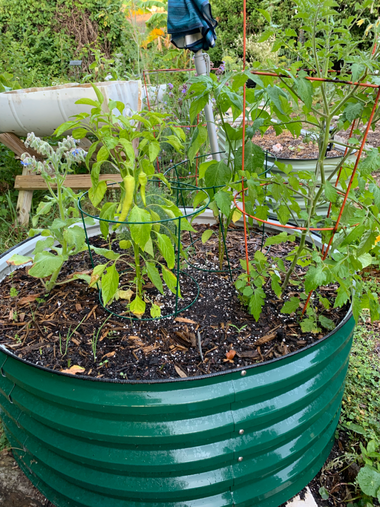 Round Vegega metal raised bed in dark green