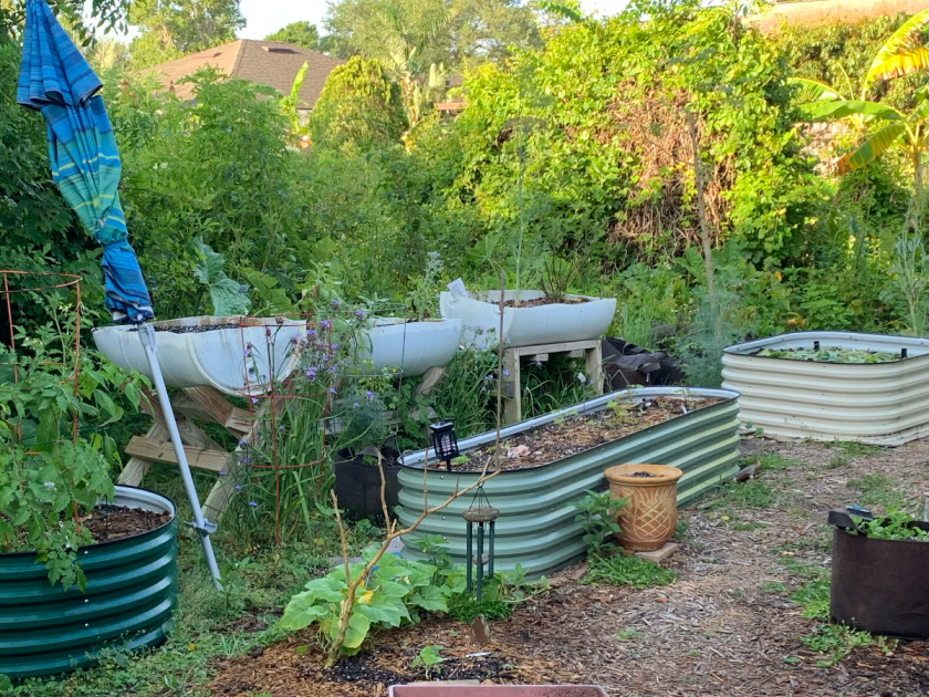 My vegetable garden with three Vegega raised beds