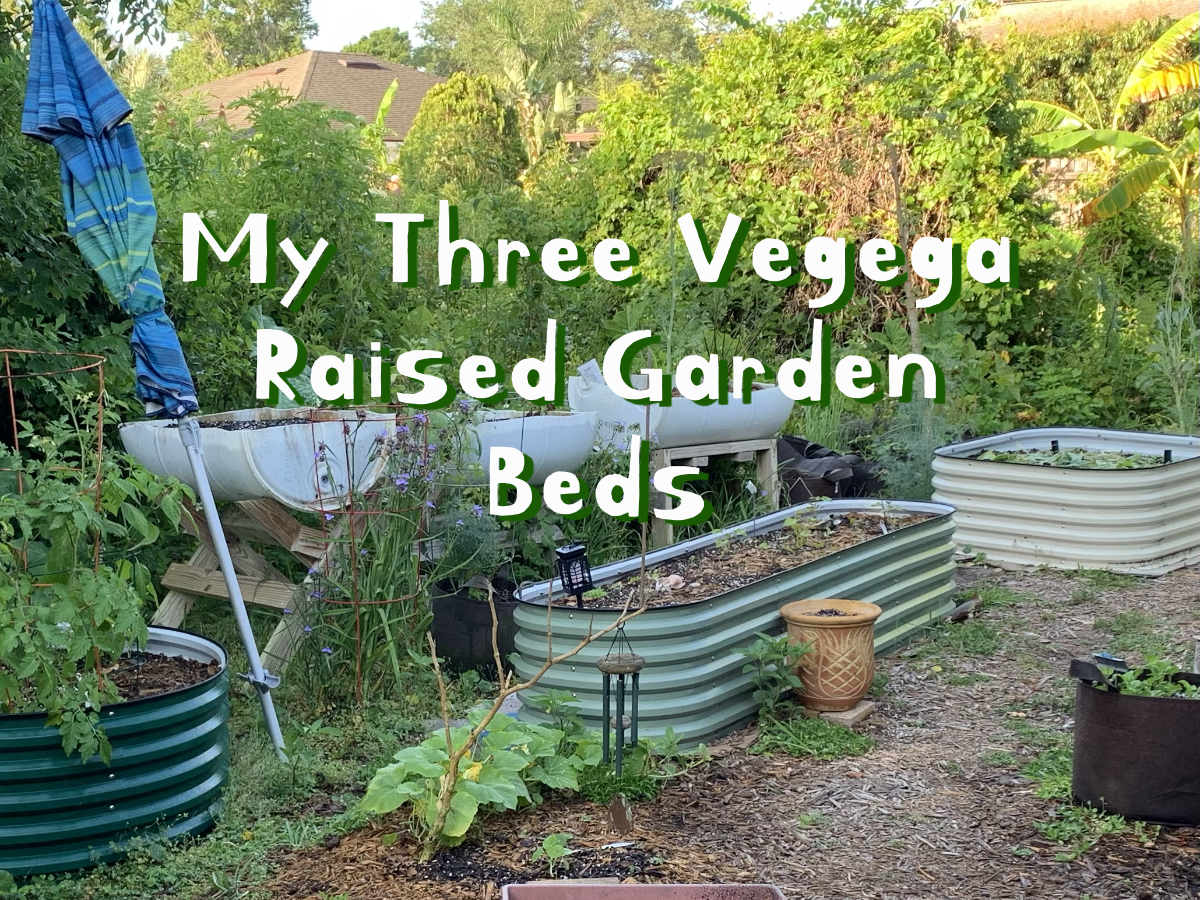My Three Vegega Metal Raised Beds Are&nbsp;Ready!