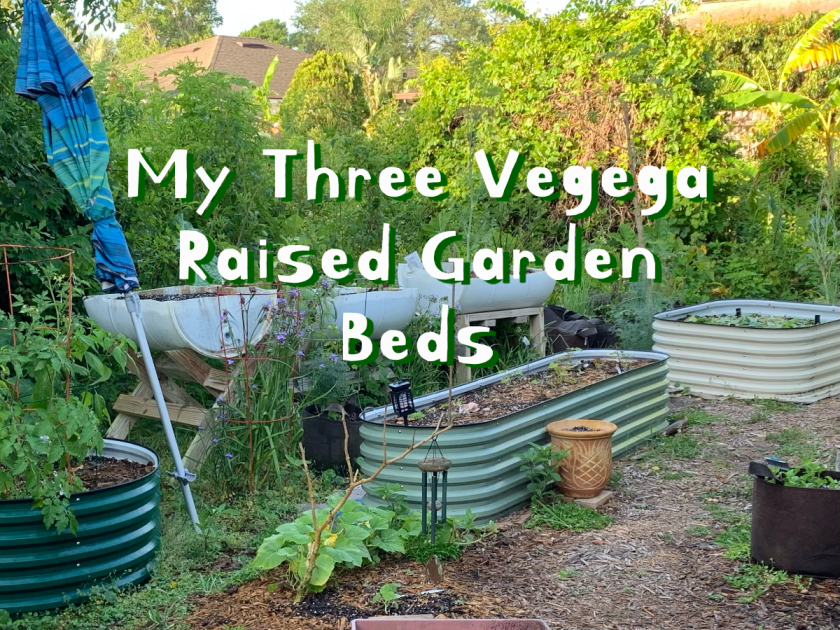 My three metal raised garden beds by Vegega.