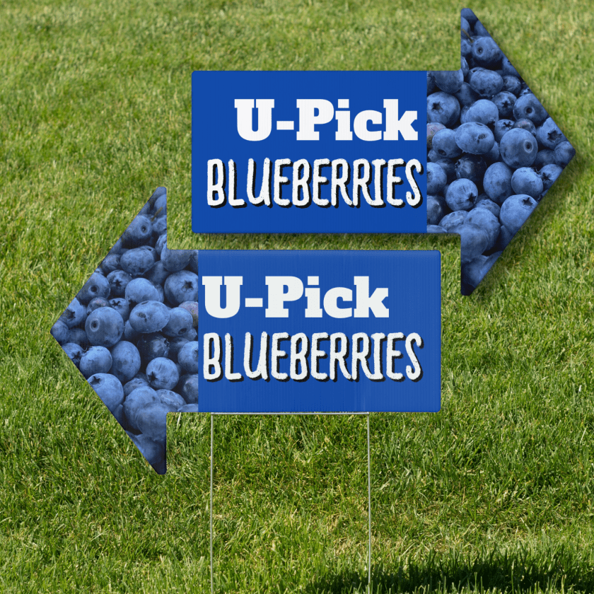 U-pick blueberries sign arrow pointing left right, double sided, white text on dark blue
