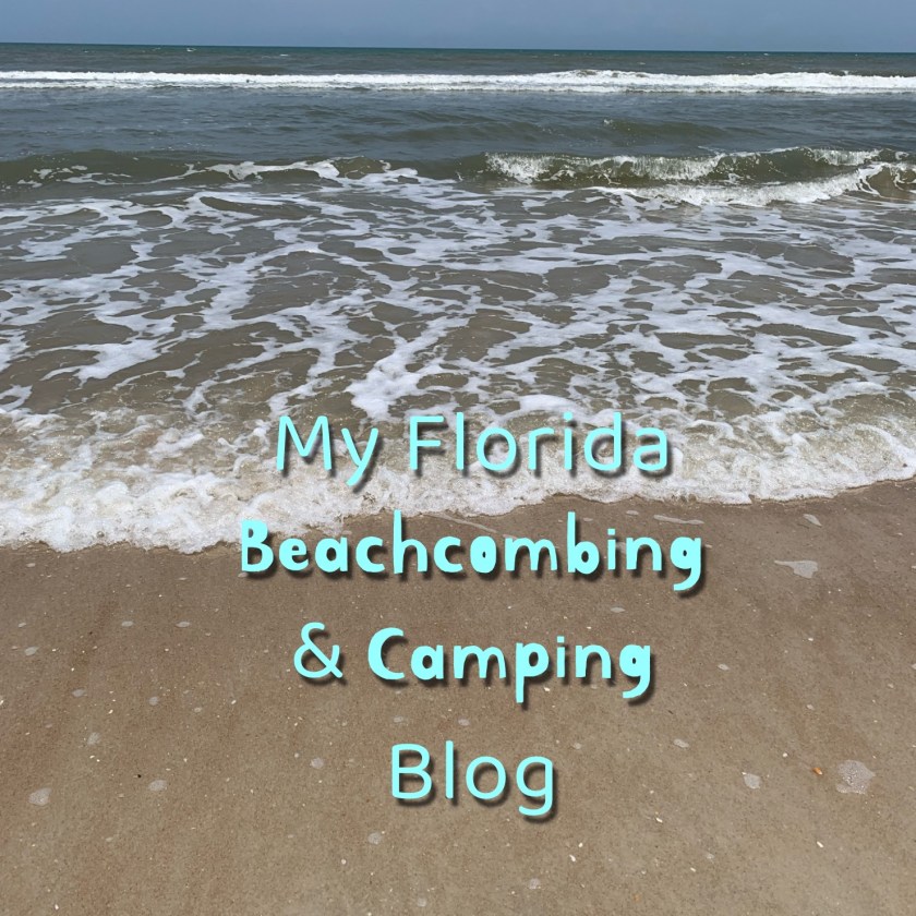 My blog about beach coming and Florida camping.