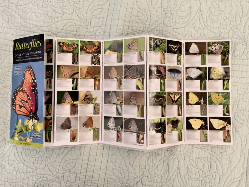 Butterflies of Central Florida pamphlet