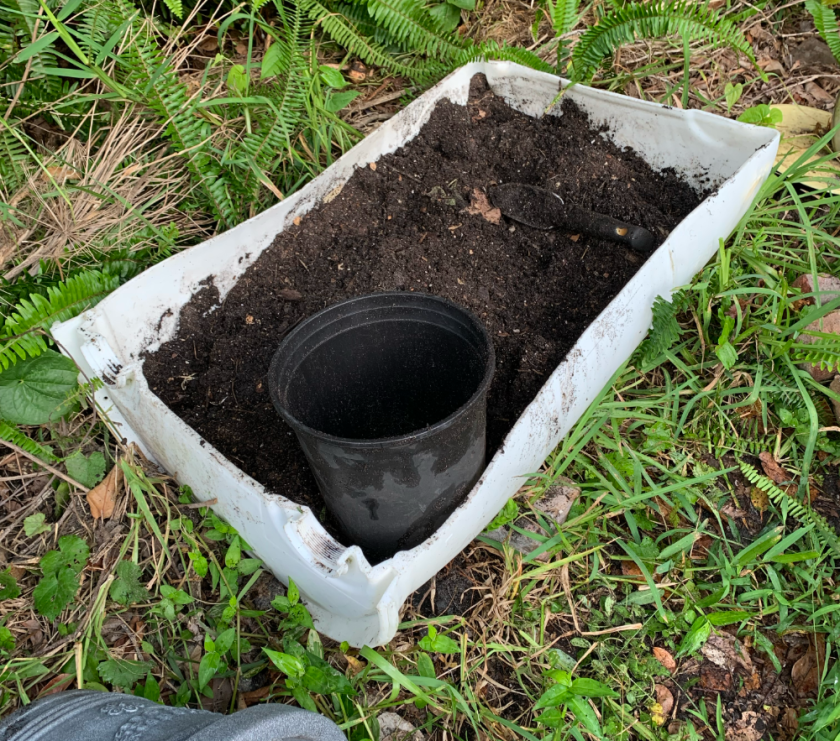 Compost bin with good garden dirt
