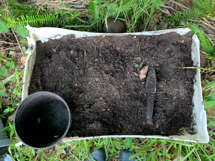 Compost bin with good dirt