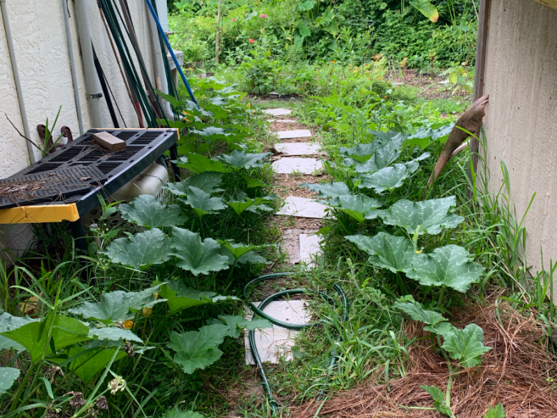 Good Morning, or Is&nbsp;It?