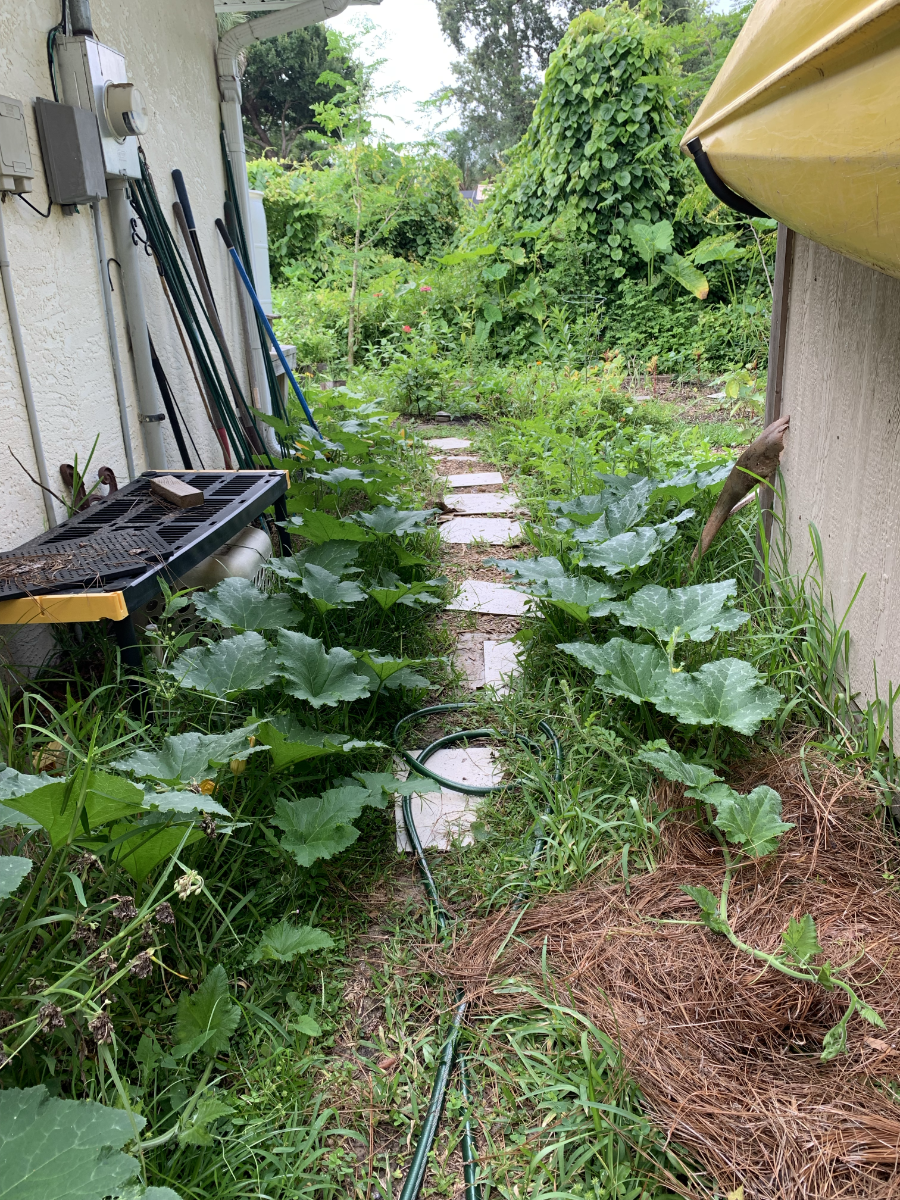 Good Morning, or Is&nbsp;It?