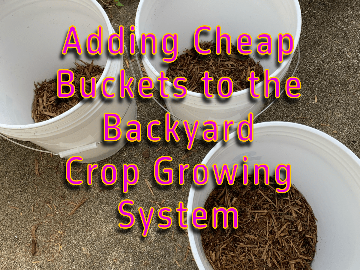 Adding Buckets to the Backyard Crop Growing&nbsp;System