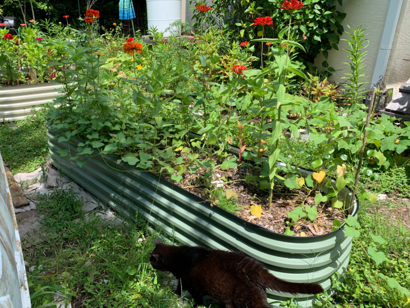 Vegega metal raised bed, oblong shape