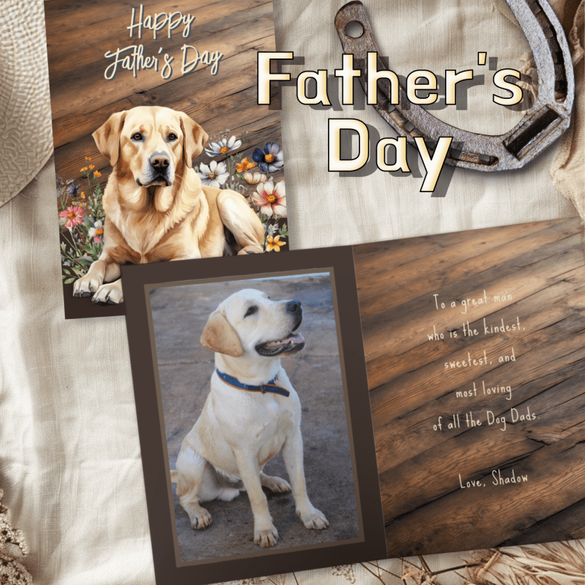 Father's Day card collection banner