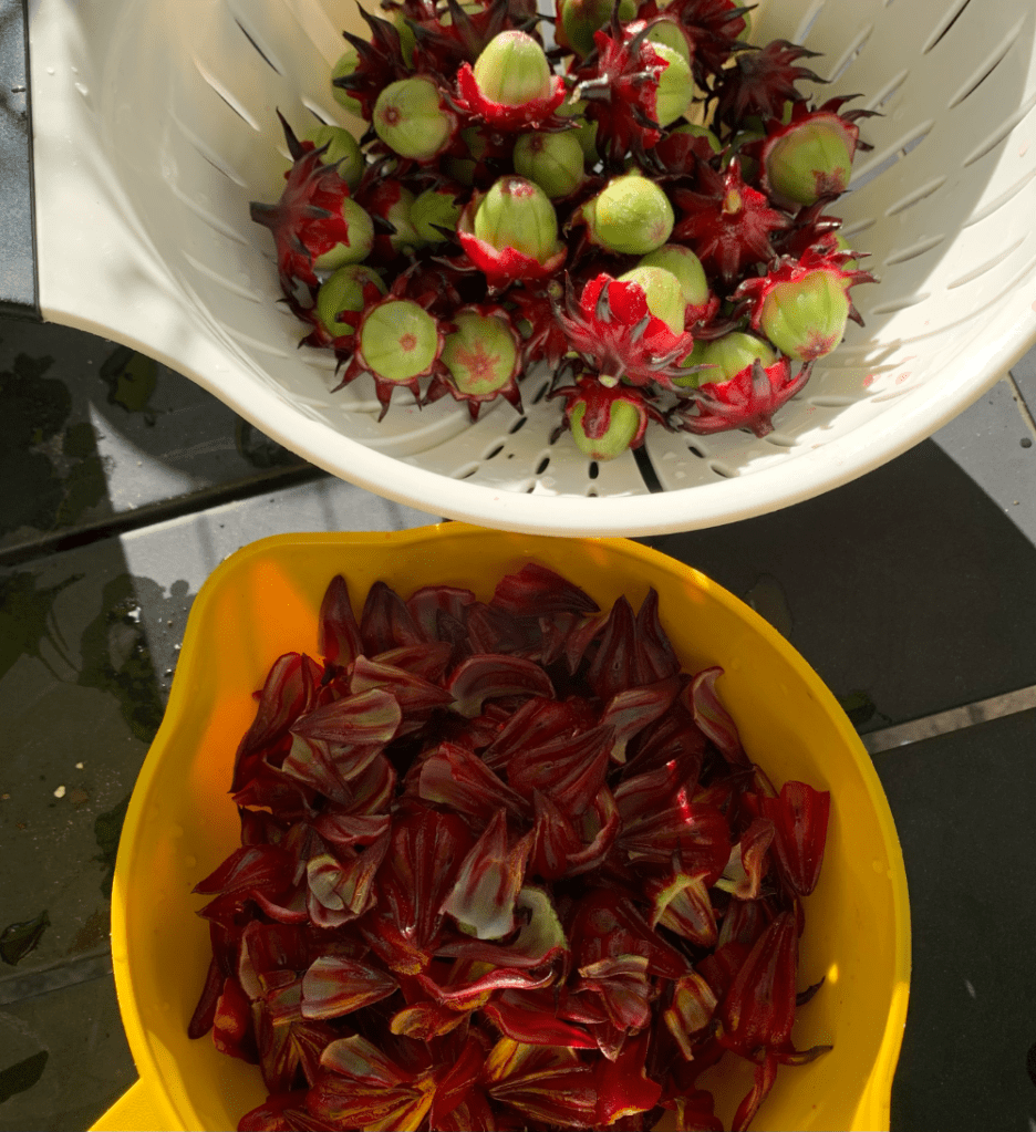 Roselle pods peeled