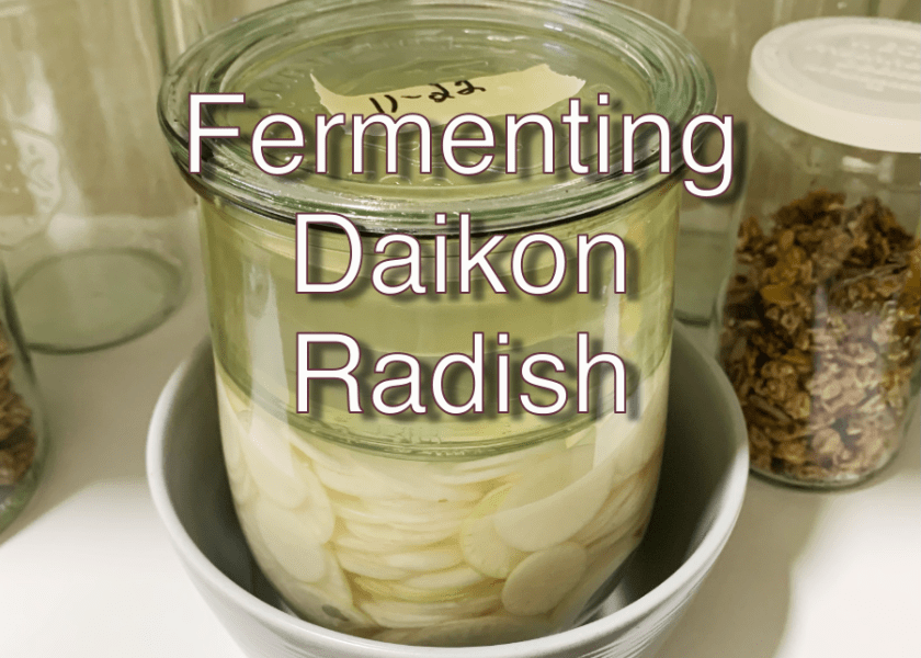 Title for fermenting my Daikon radishes.