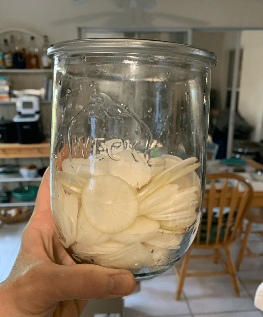 Sliced Daikon rashes in a Weck jar.