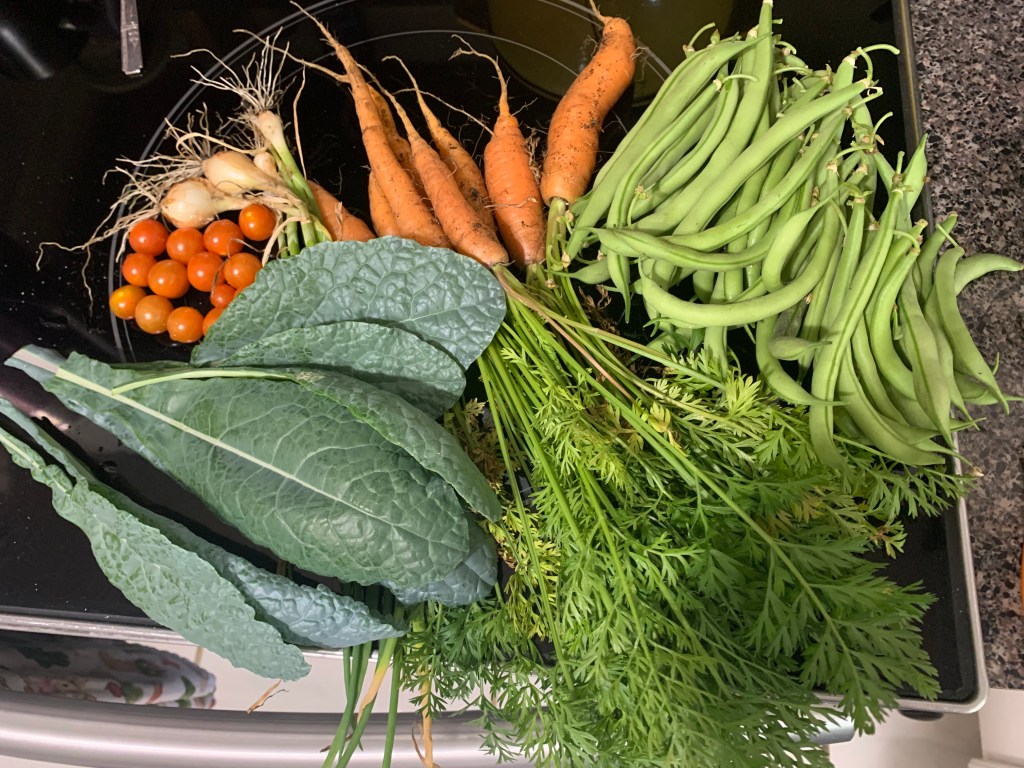 spring garden harvest of carrots, kale, tomatoes and green beans