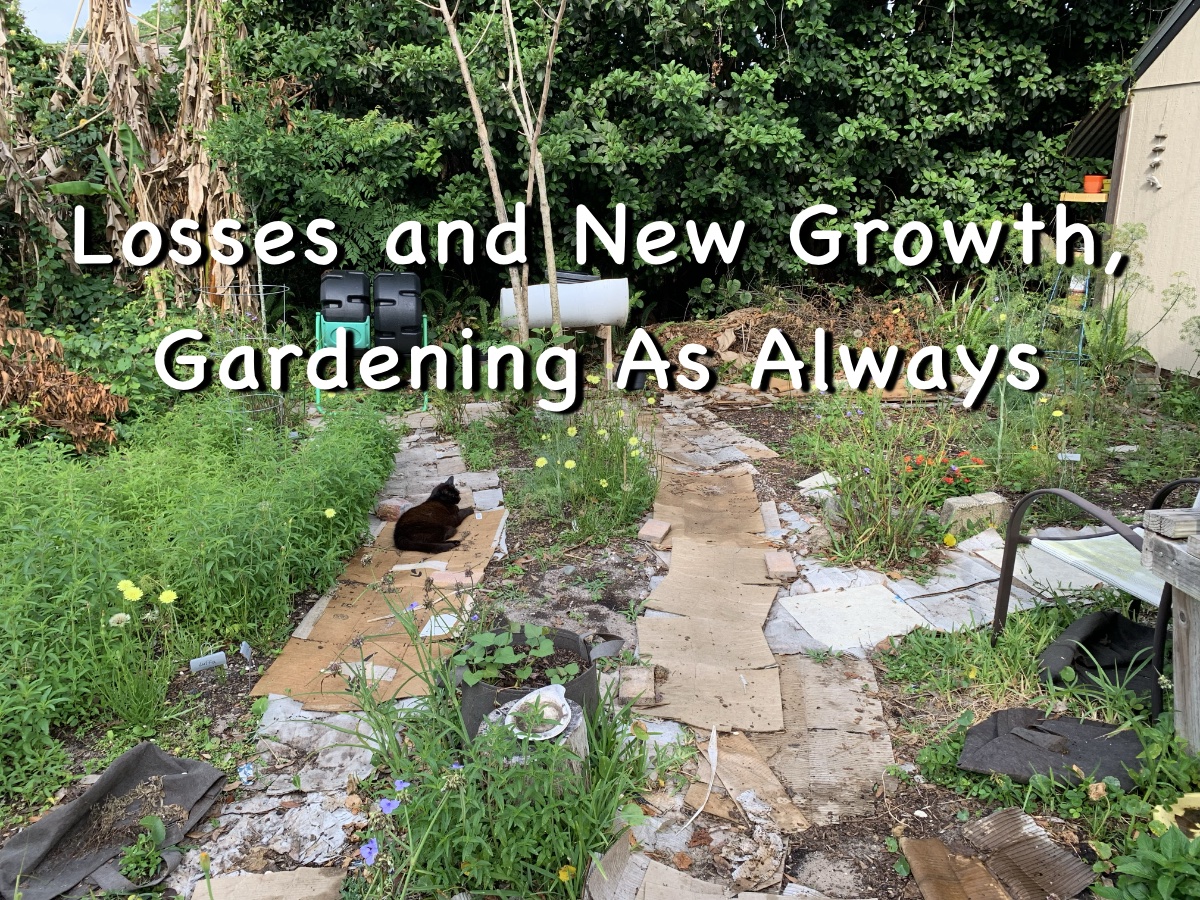 Losses and New Growth, Gardening As&nbsp;Always