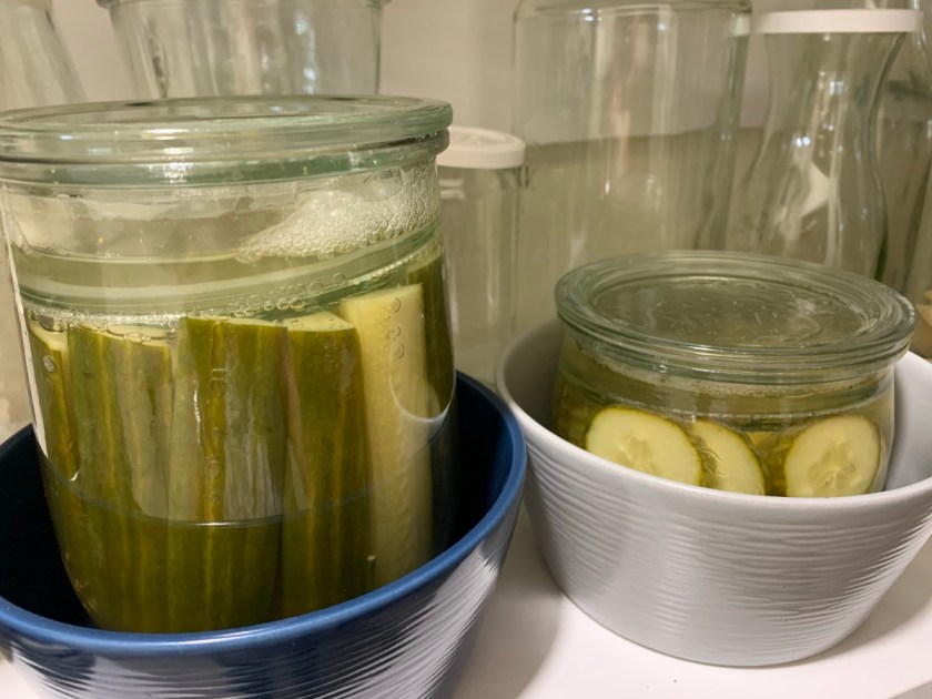 making pickles in saltwater brine