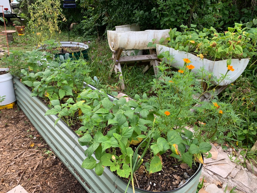 Long Vegega raised garden bed