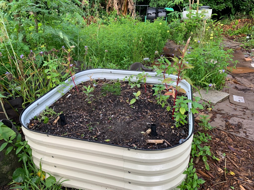 square Vegega raised garden bed