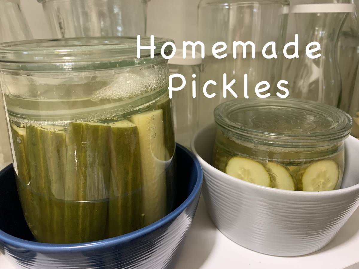 Homemade fermented cucumbers for pickles