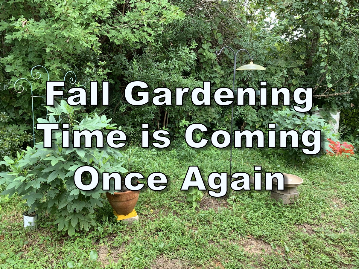 Fall Garden Planting Time Coming&nbsp;Up