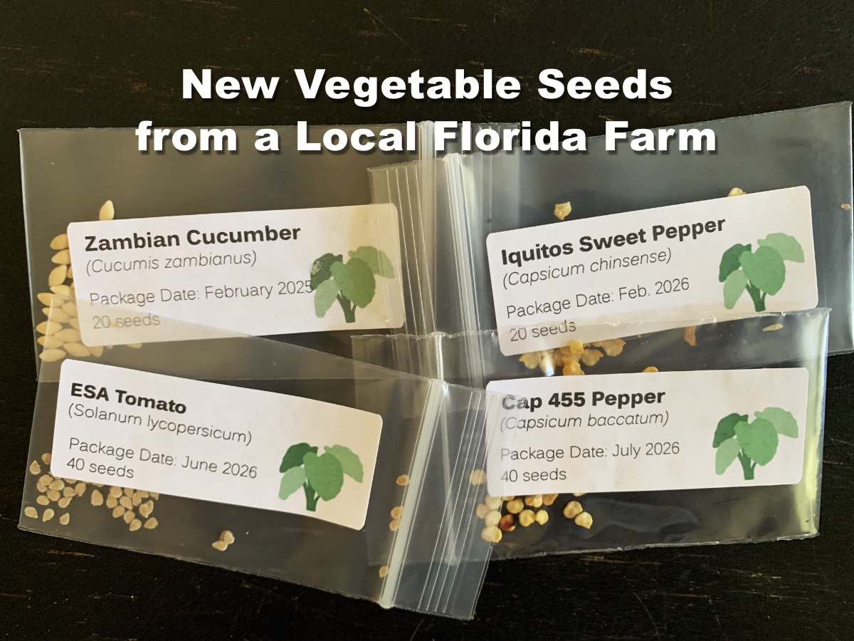 New vegetable seed to plant in my Florida garden from a local farm.