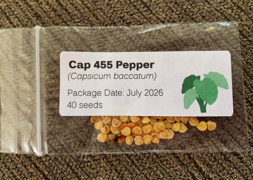 CAP 455 pepper seeds package 