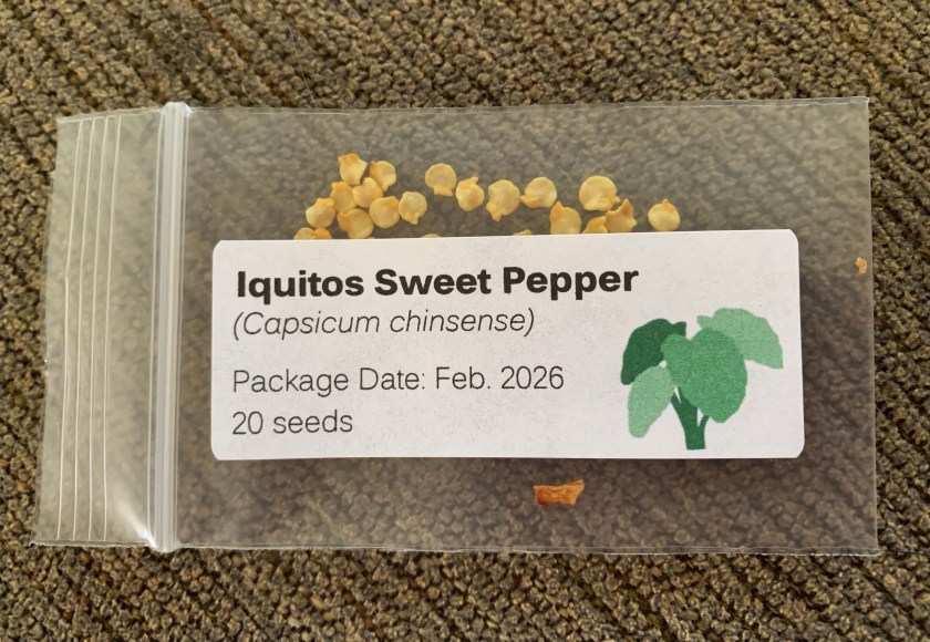 Iquitos sweet pepper seeds packet