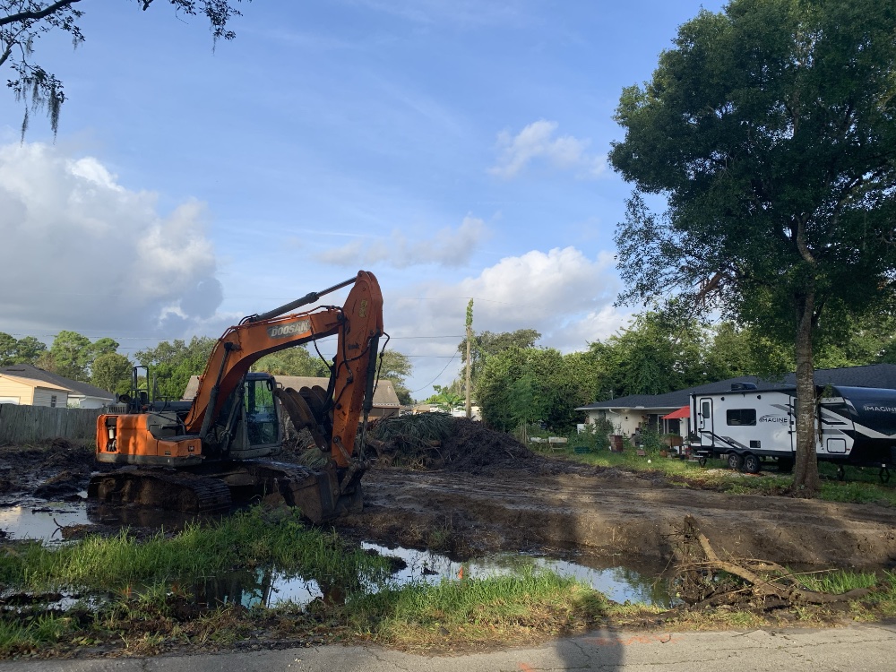 All trees and greenery except for one large tree are gone