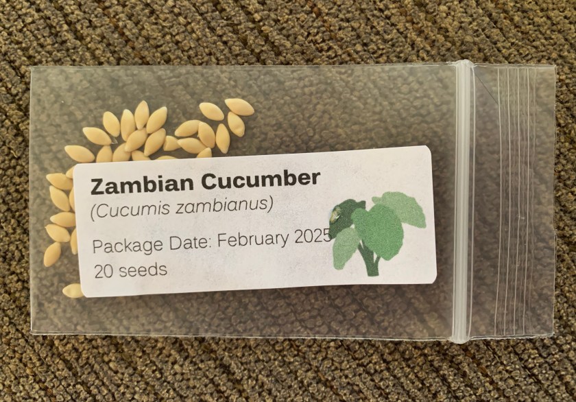 Zambian cucumber seeds packet
