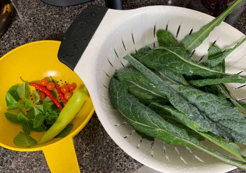 garden kale, banana pepper, cayenne, cherry tomatoes, and Tulsi basil